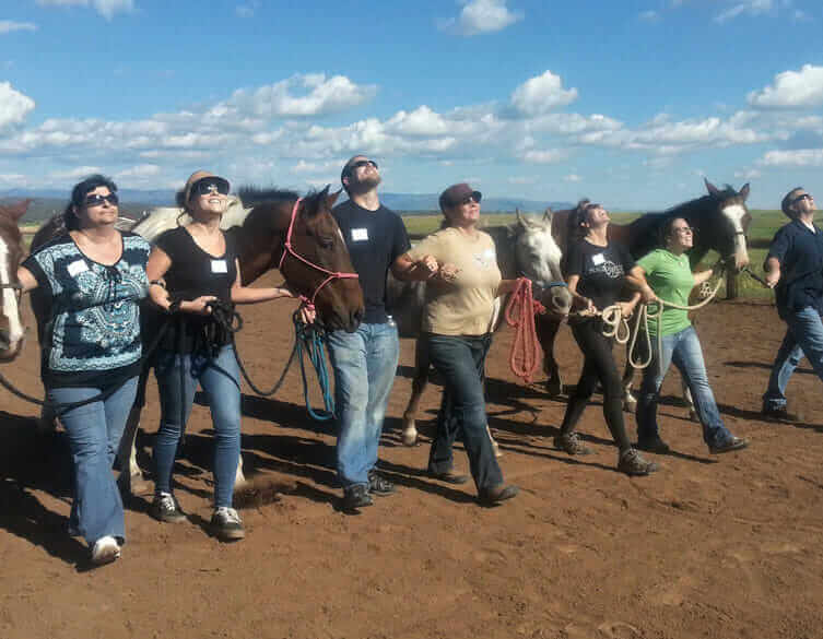 Team Building & Corporate Team Building at Horse Empower in Durango Colorado.