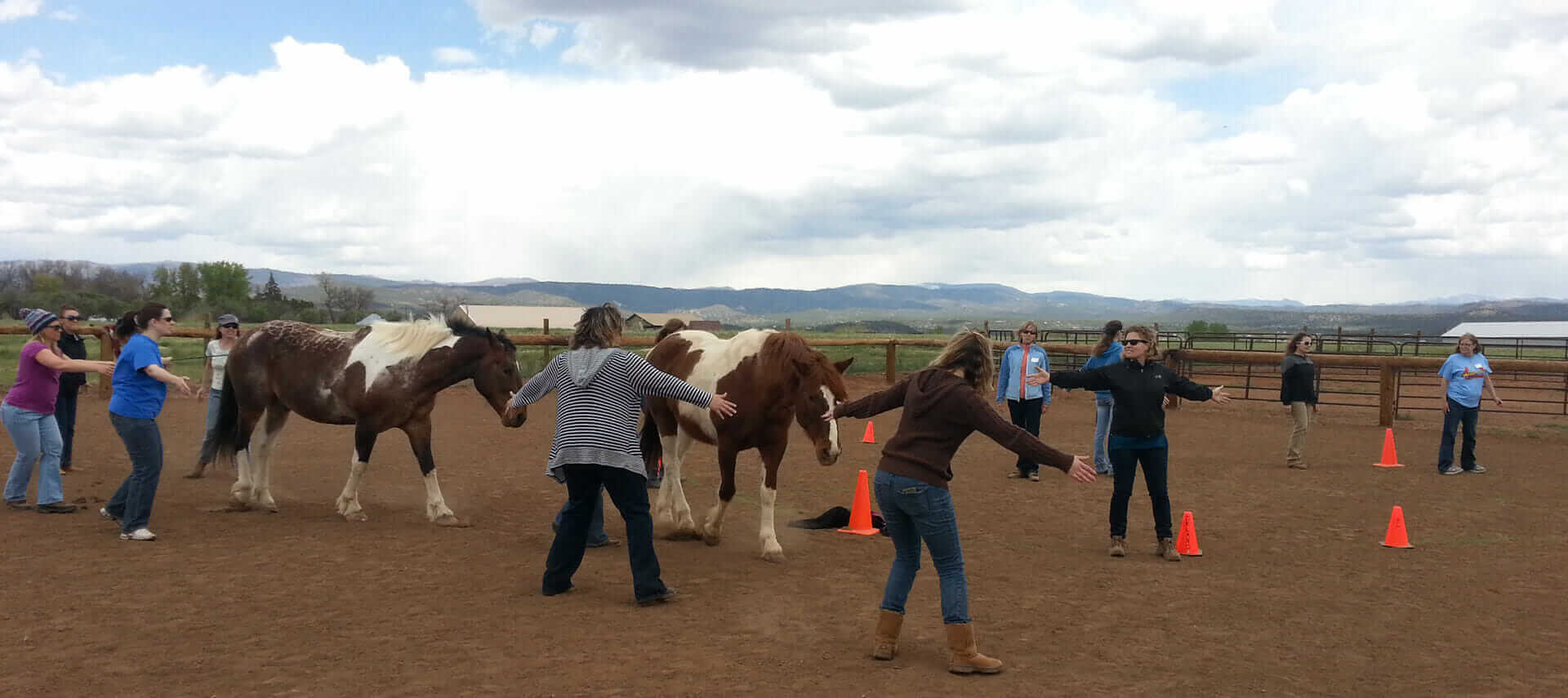 Team Building with Horses at Horse Empower