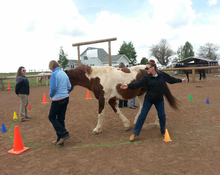 Team Building at Horse Empower in Durango, Colorado