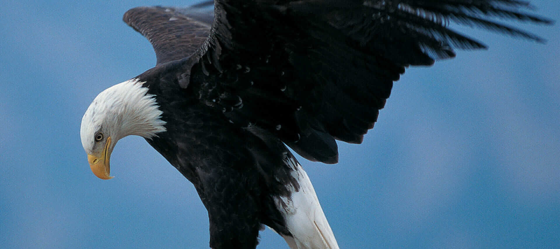 Veterans progam at Horse Empower